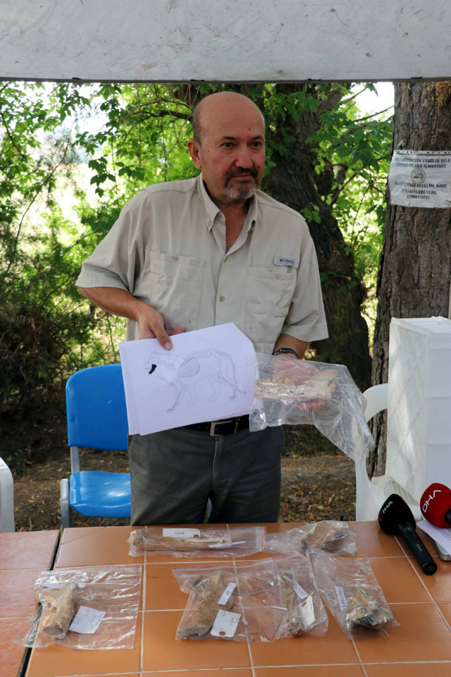 Kayseri'de kazı çalışmalarında bulundu! 4 bin yıl öncesine ait aslan kemiği - Resim: 1