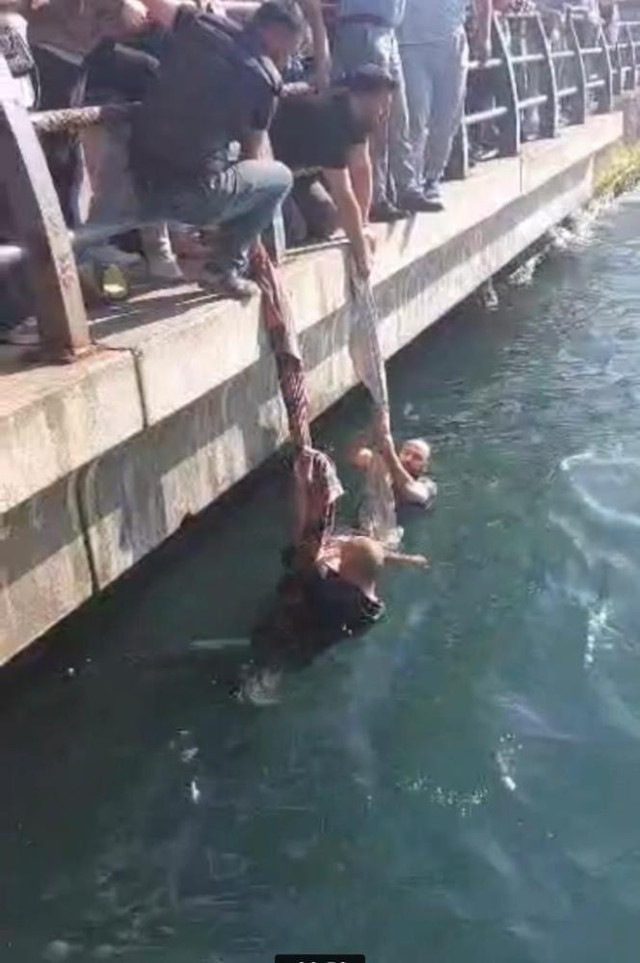 İstanbul'da denizde can pazarı! Boğulan çocuk korkuttu: Böyle kurtarmaya çalıştılar! - Resim: 3