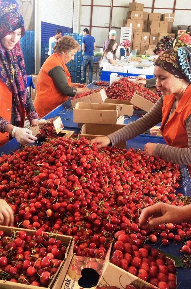 Başkan açıkladı! Yaş meyve sebze ihracatında hedef 5 milyar dolar - Resim: 0