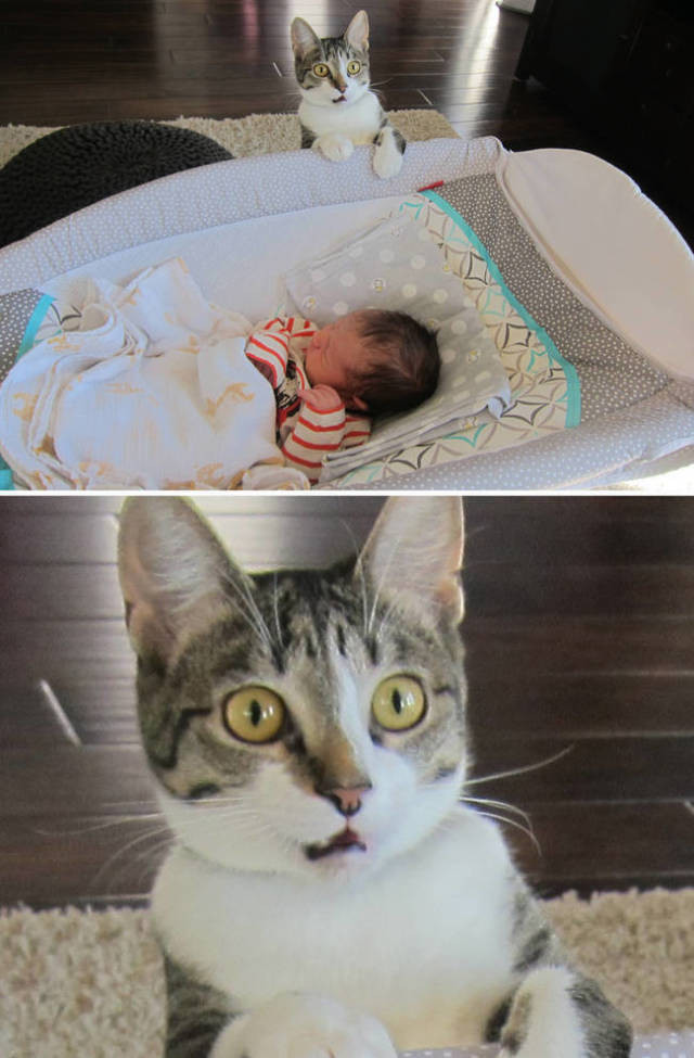 İlk defa kızıl saç gören Asyalı çocukların tepkisi - Resim: 3