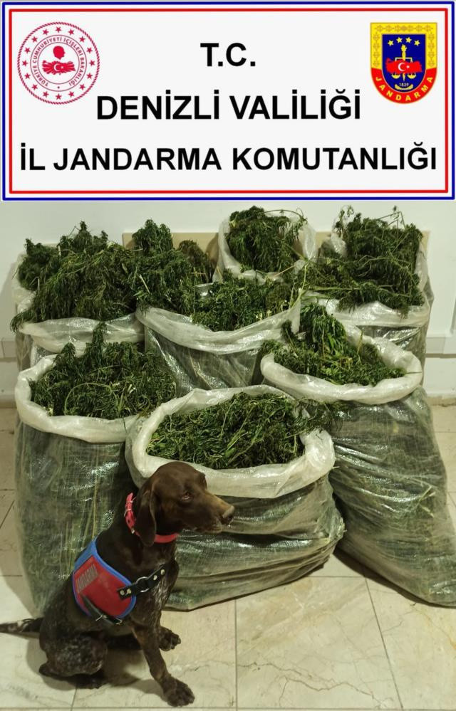 Denizli'de çiftçi zehir tacirliğine soyundu! Kendi yetiştirdi ilk işinde yakayı ele verdi - Resim: 1