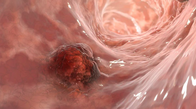 Karıncaların gizli yeteneği keşfedildi bilim insanları şaşkın: Üç denemede çözdüler - Resim: 2