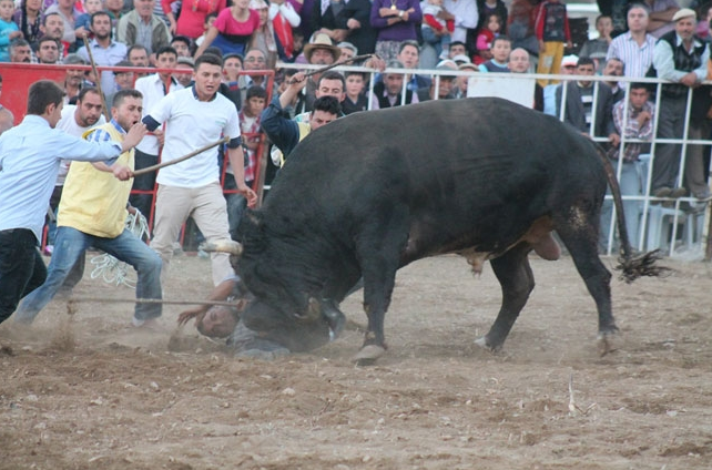 Burası İspanya değil Aydın - Resim: 4