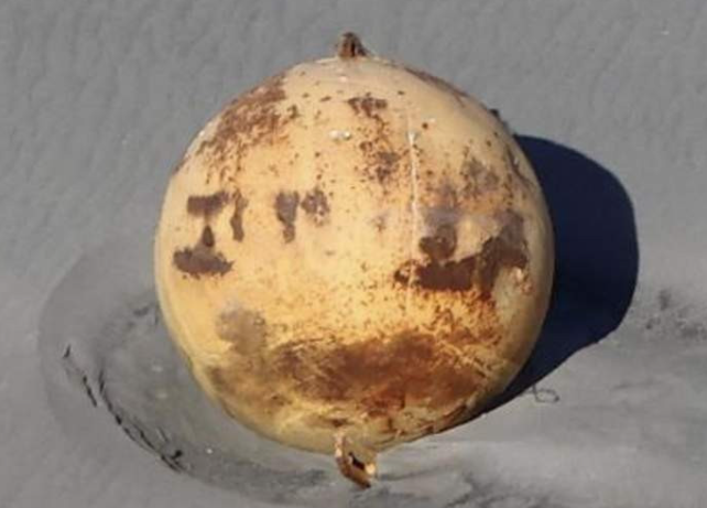 Güne bu haberle uyandılar sahilde 'Gizemli top' bulundu! Japon yetkilileri alarma geçiren görüntü - Resim: 2
