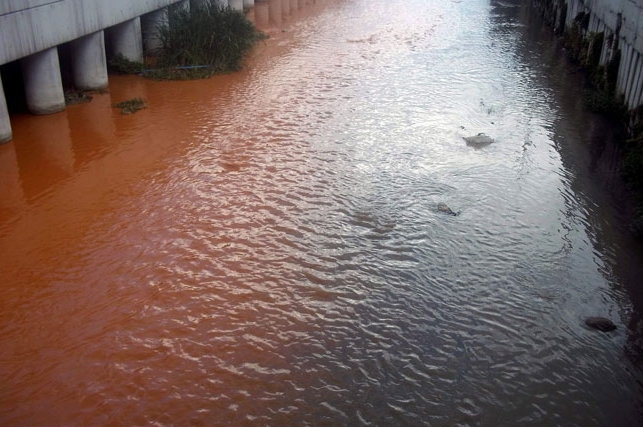 Karadeniz kan kırmızısı renge döndü - Resim: 2