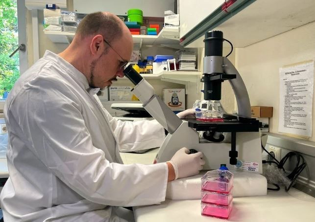 Vakalar bir haftada üçe katlandı: Maymun çiçeği hangi ülkelerde görüldü? - Resim: 1