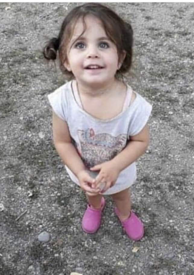 Öldürülen Leyla Aydemir'in davasında karar bekleniyor; savcı müebbet istedi - Resim: 3