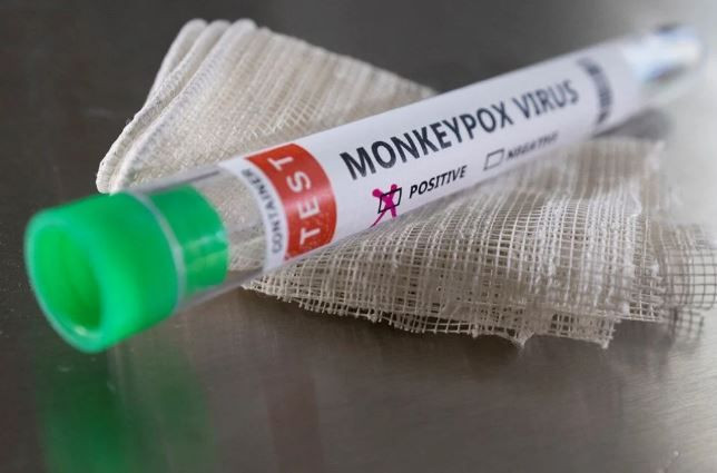 Vakalar bir haftada üçe katlandı: Maymun çiçeği hangi ülkelerde görüldü? - Resim: 2