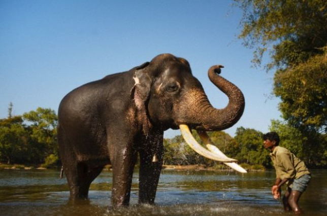 İnanmayacaksınız ama hepsi gerçekten oldu - Resim: 3