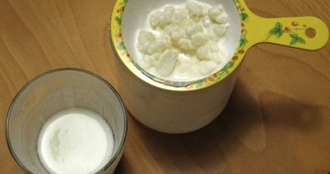 Kefir nasıl mayalanır nereden bulunur faydaları tam bir mucize - Resim: 3