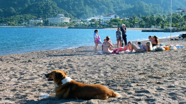 Marmaris'te pastırma yazı başladı! Turistler keyif yaptı - Resim: 2