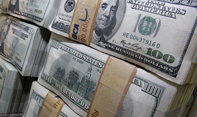 Merkez Bankası net rezervleri 5 milyar dolar düştü! İşte kasada kalan para miktarı - Resim: 2