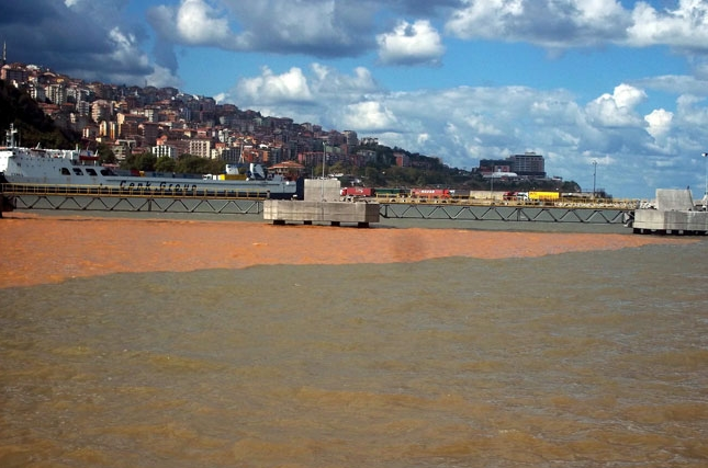 Karadeniz kan kırmızısı renge döndü - Resim: 4
