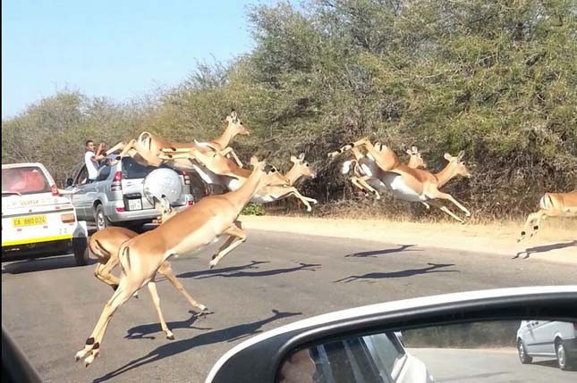 Adeta uçarak geldiler o an beklenmedik bir şey oldu - Resim: 2