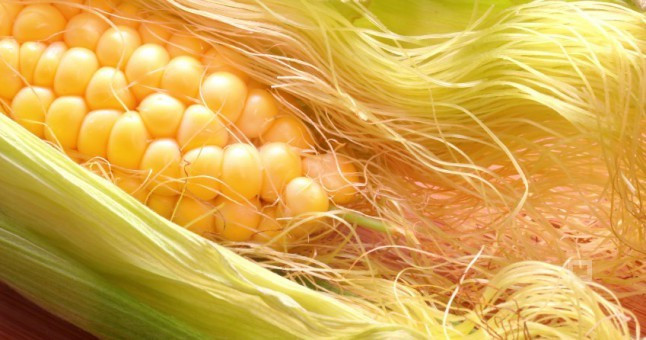 Mısırı püskülü ile kaynatınca...  - Resim: 2