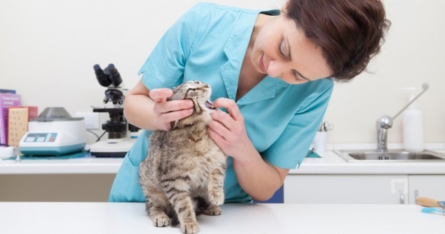 Bu mesleği seçen işsiz kalmıyor en çok istihdam orada - Resim: 3