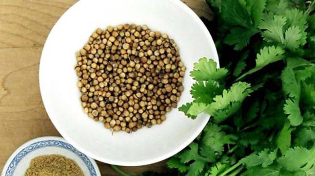 Cinsel gücü tetikliyor! Maydanoza benziyor ama değil... - Resim: 1