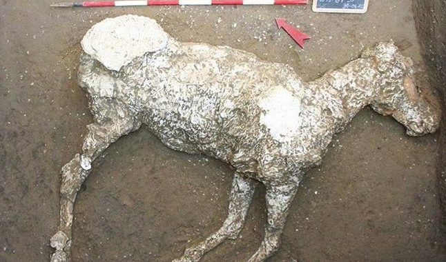 İnsanların taşa döndüğü Pompeii kentiyle ilgili tarihi bilgi  - Resim: 4