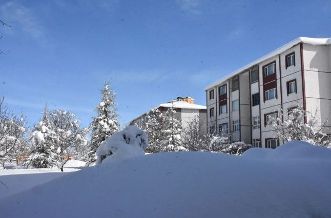 İlkbahar'da birçok il beyaza büründü, yollar ulaşıma kapandı - Resim: 2