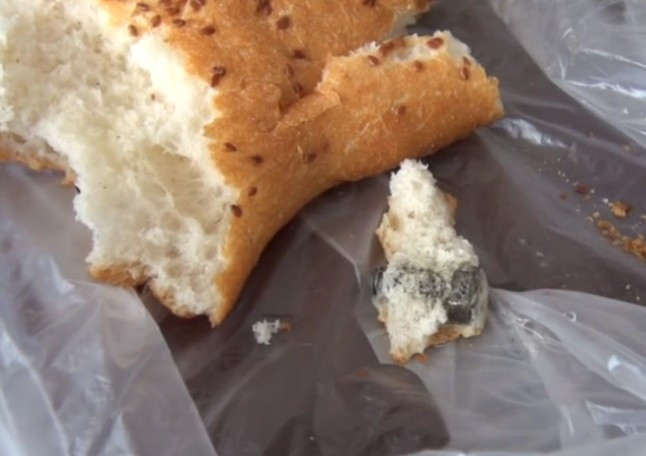 Yok artık bunu da gördük! Ekmekten çıkana bakın - Resim: 4