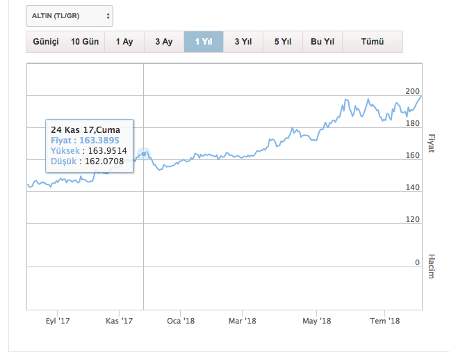 Altın rekor seviyede 10 ayda ne kadar kazandırdı grafikli anlatım - Resim: 3