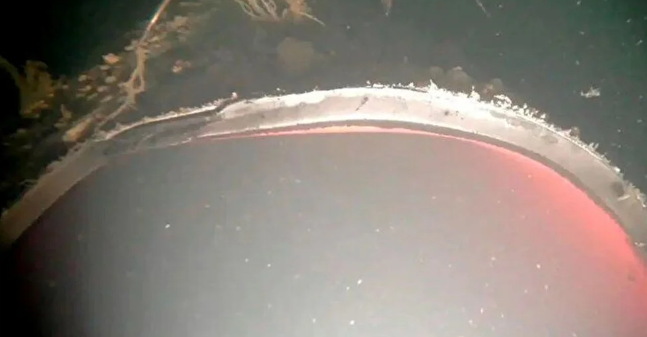 Sabotaj iddiası sonrası ilk görüntüler! Denizin dibinde şok: Kuzey Akım'ın 50 metresi yok - Resim: 4