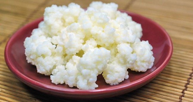Kefir nasıl mayalanır nereden bulunur faydaları tam bir mucize - Resim: 2