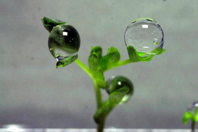 NASA Uzay'da bunu da yaptı bakın ne  - Resim: 2