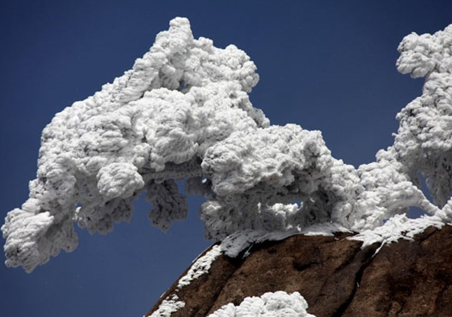 Dünya gündeminden çarpıcı kareler - Resim: 1
