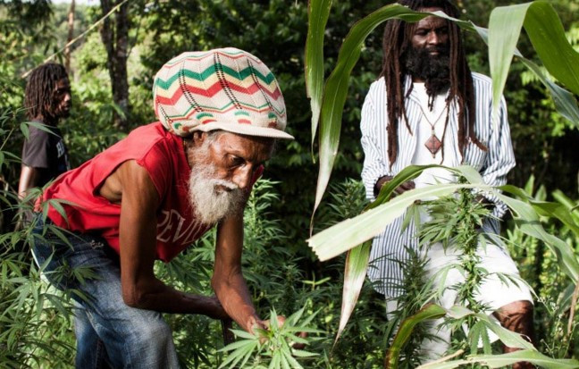 Esrar içmek dinin gereğiymiş! Kabileye bak - Resim: 2
