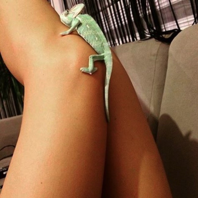 Survivor Denisa Gültekin kimdir? Vücut geliştirme pozları olay! - Resim: 3