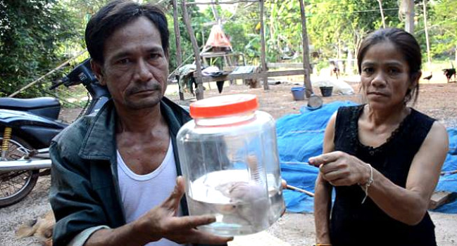 Dünya onu konuşuyor ama onlar buna tapıyor - Resim: 3