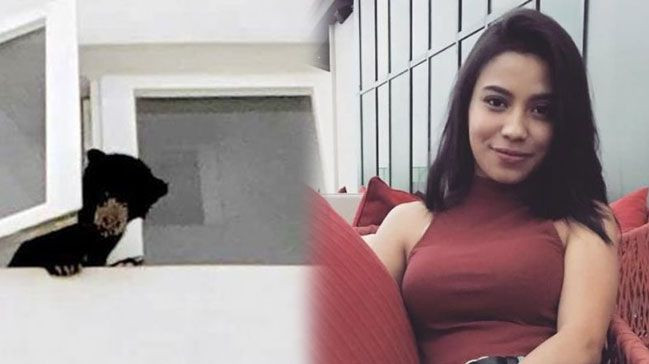 Ünlü şarkıcı köpek sandı eve götürdü mahkemelik oldu! - Resim: 2