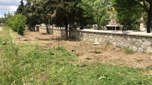 Isparta'da mezarlıkta dehşete düşüren kaplumbağa olayı - Resim: 1