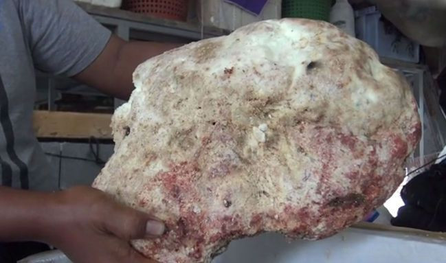 Yok böyle bir şans! Balıktan dönerken buldu yanınca 2 milyon liranın sahibi oldu - Resim: 2