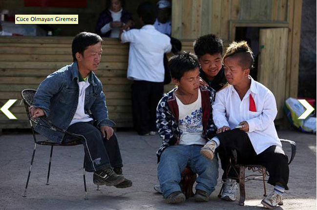 Cücelerin Memleketi - Resim: 2