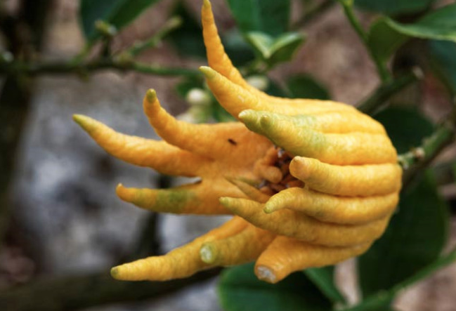 Cinsellik ile ilgili tüm sorunları ortadan kaldırıyor sıradışı görüntüsü şaşırtıyor - Resim: 4