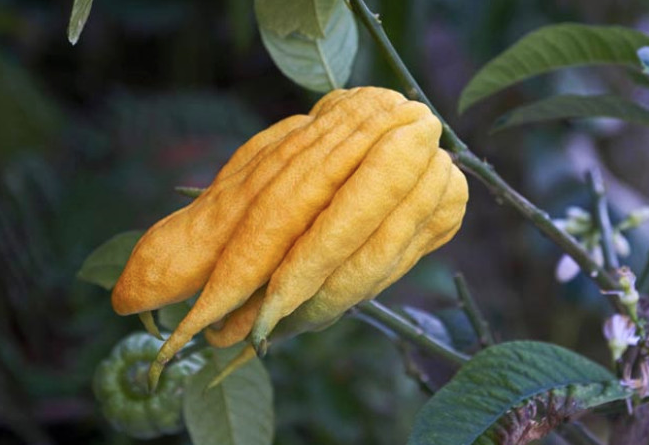 Cinsellik ile ilgili tüm sorunları ortadan kaldırıyor sıradışı görüntüsü şaşırtıyor - Resim: 3