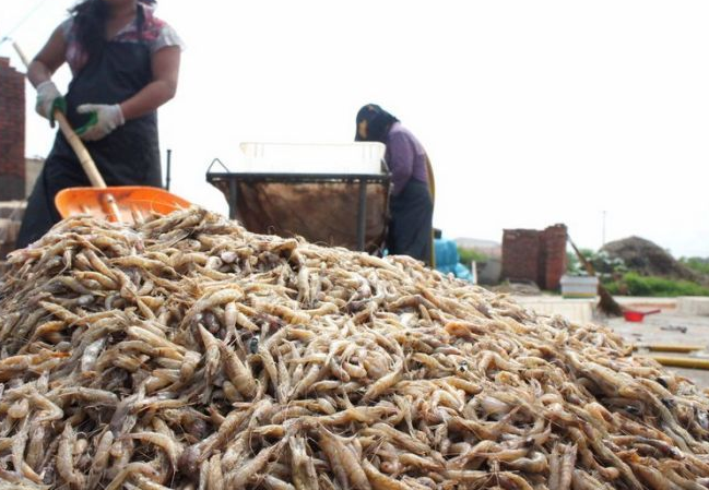 Daha yakından bakın! Şoke olacaksınız - Resim: 1