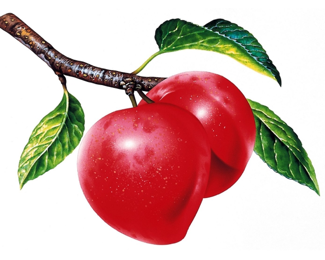 Bu meyveler 'ilaç' gibi  - Resim: 2