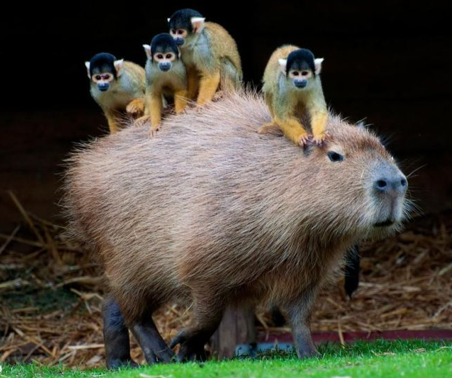 Günün bomba kareleri - Resim: 2