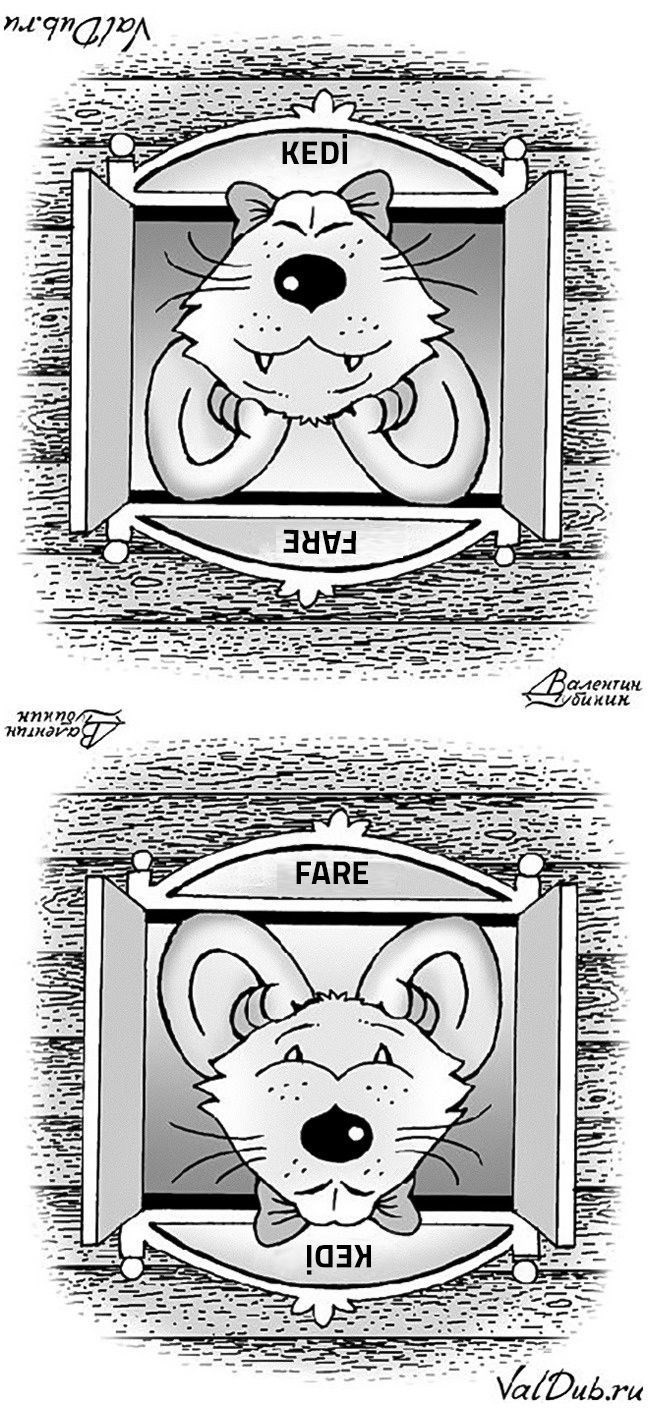 Bu resimde ne görüyorsunuz sadece bakanların yüzde 1'i görüyor - Resim: 1
