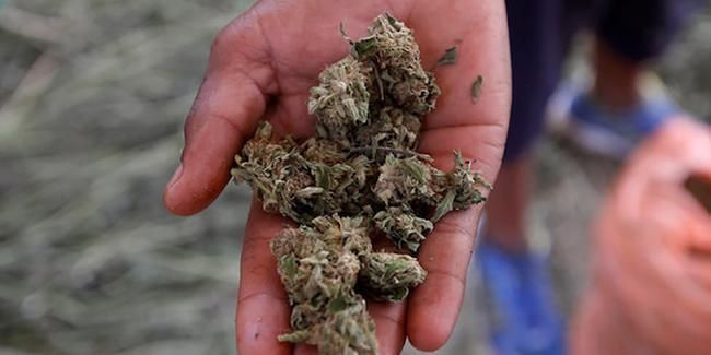 Kilosu bin TL'ye kadar çıktı! Erdoğan açıkladı fiyatlar tavan yaptı - Resim: 2