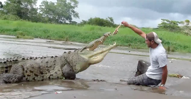 Timsahla oyun olmaz - Resim: 2