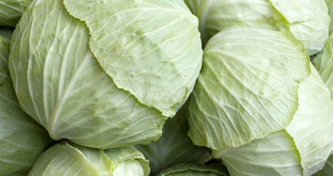 Eklem ağrısına doğal çözüm lahana! - Resim: 1