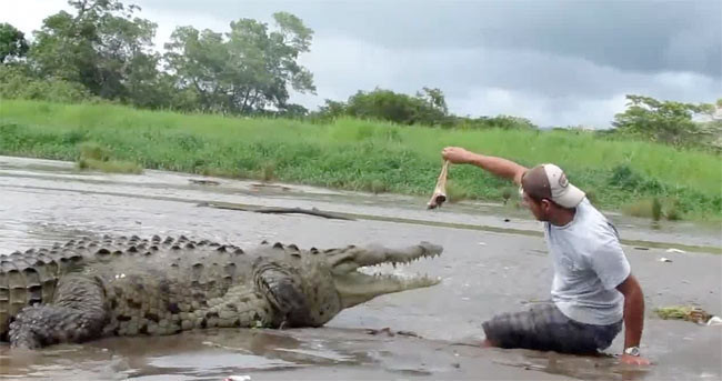 Timsahla oyun olmaz - Resim: 1