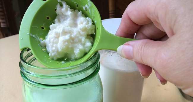 Kefir nasıl mayalanır nereden bulunur faydaları tam bir mucize - Resim: 1