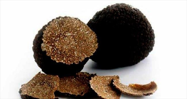 Orman Bakanlığı çalışma başlattı! Kilosu tam 3 bin TL - Resim: 3