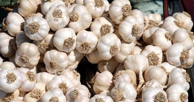 Antalya'da salgını fırsata çevirdi 100 günden 70 güne indirdi! Paraya para demiyor - Resim: 2