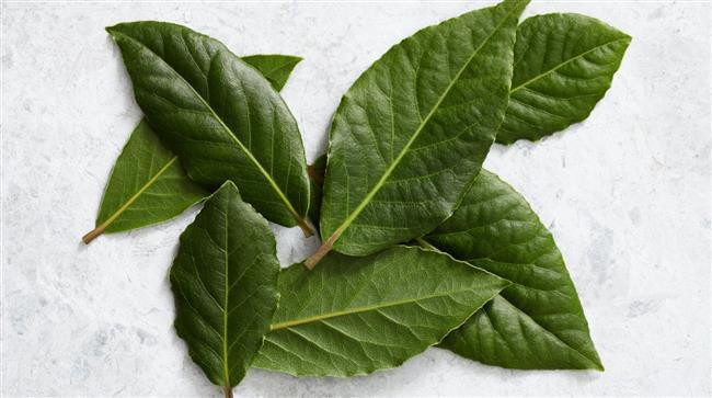 Defne yaprağının 9 muhteşem faydası - Resim: 3